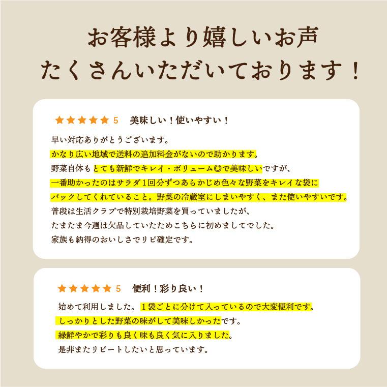 サラダ セット 葉野菜とミニ根菜のセット 化学肥料 農薬不使用 無農薬野菜 A 25 旬彩ファーム 通販 Yahoo ショッピング