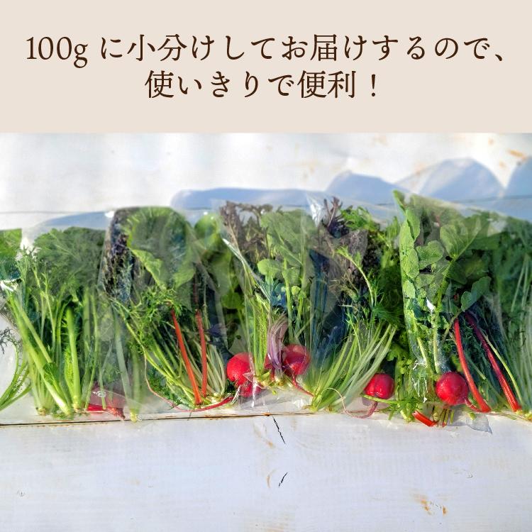 サラダ セット 葉野菜とミニ根菜のセット 化学肥料 農薬不使用 無農薬野菜 A 25 旬彩ファーム 通販 Yahoo ショッピング