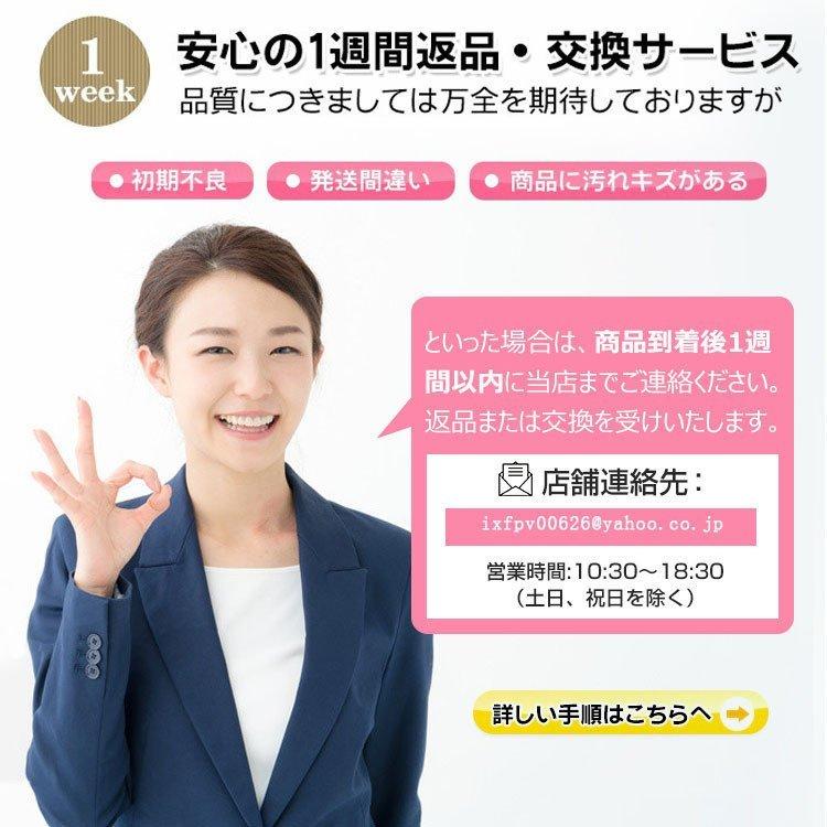交換用ペン先 商品番号100778/100779専用 iPad タッチペン替え芯 ペン