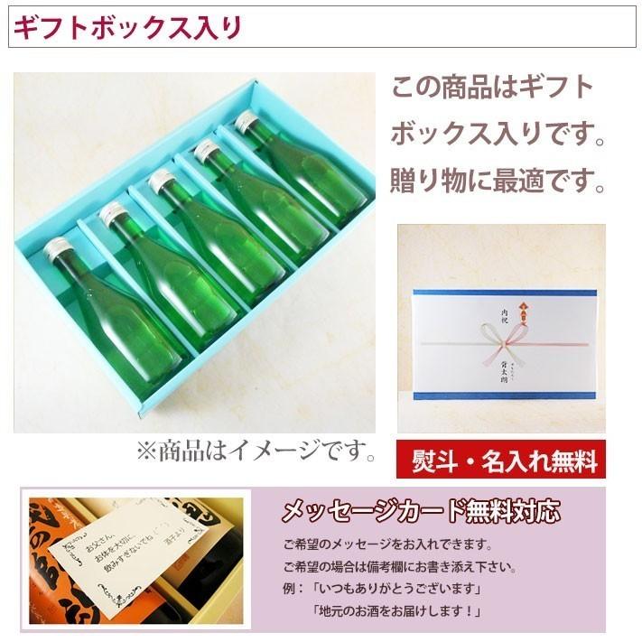 獺祭 ギフト プレゼント 日本酒 純米大吟醸45 300ml 5本入り 山口県
