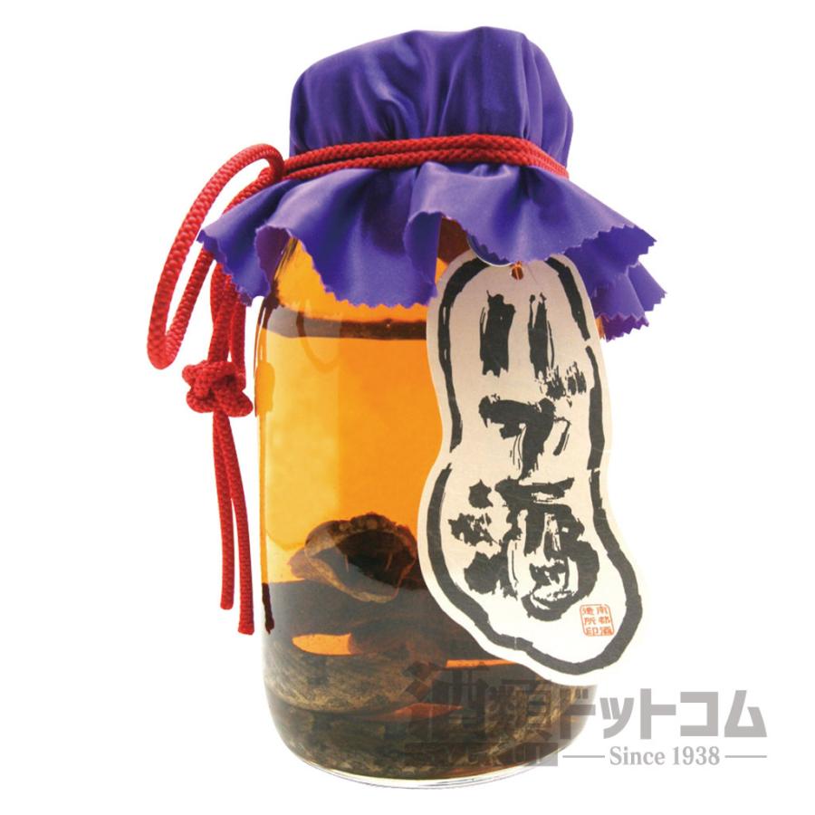 琉球の酒 ハブ入りハブ酒 35度 1800ml : 酒類ドットコム Yahoo