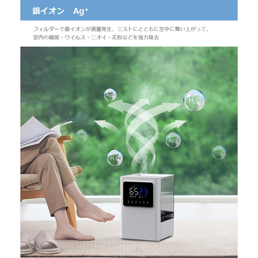 加湿器 卓上加湿器 ハイブリッド 大容量 6L 除菌 加熱 リモコン付 湿度