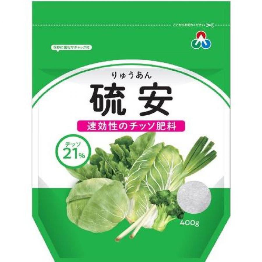 り ゅ あん