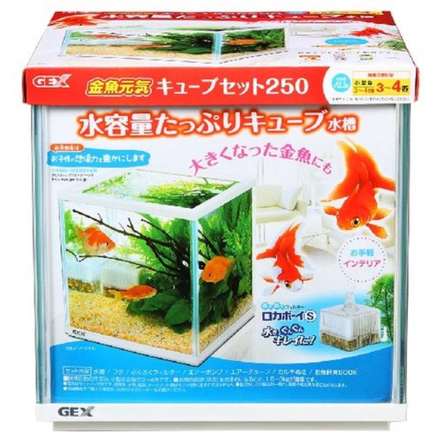 金魚元気キューブセット２５０ ダイユーエイト収納ナビ Com 通販 Yahoo ショッピング