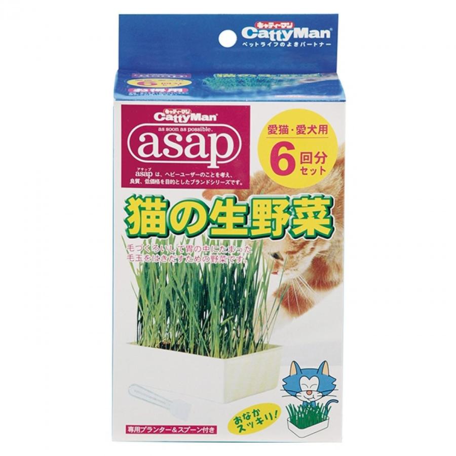 ドギーマン キャティーマン (CattyMan) asap 猫の生野菜 2回分 猫草 :4976555841084:ダイユーエイト収納ナビ.com - 通販 - Yahoo!ショッピング ドギーマン キャティーマン (CattyMan) asap 猫の生野菜 2回分 猫草 :4976555841084:ダイユーエイト収納ナビ.com - 通販 - Yahoo!ショッピング