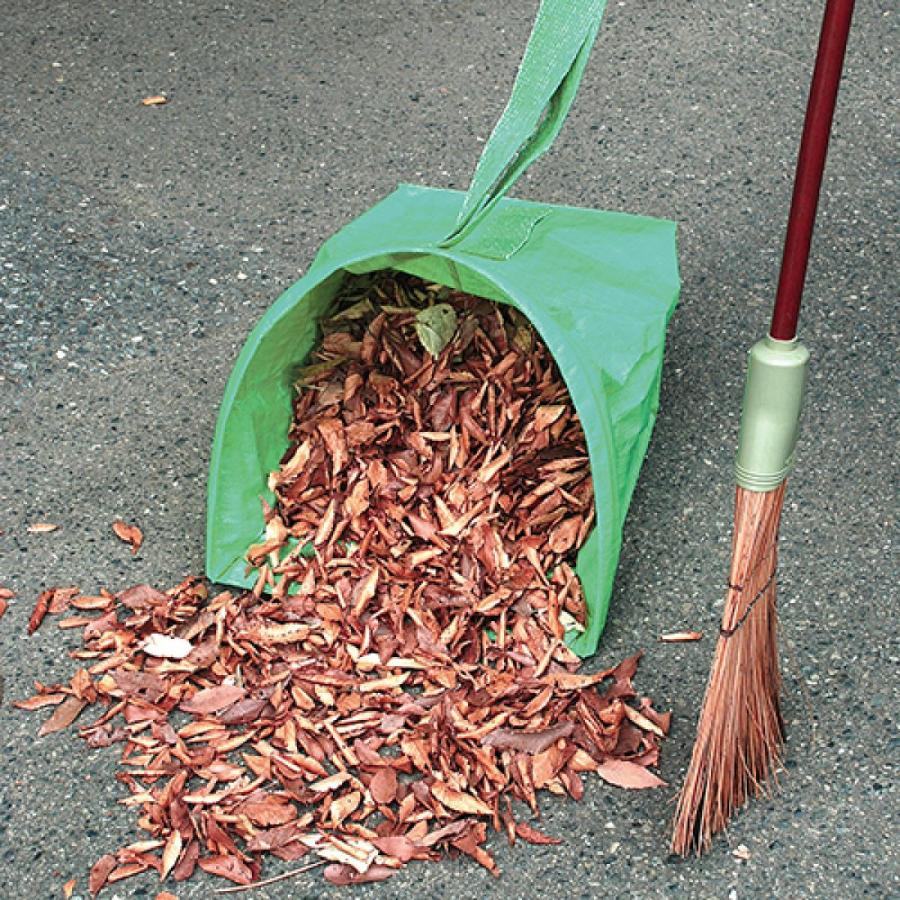 OZ❤️速達付き　同梱-100円　鉢のまま imgrc0164415512.jpg