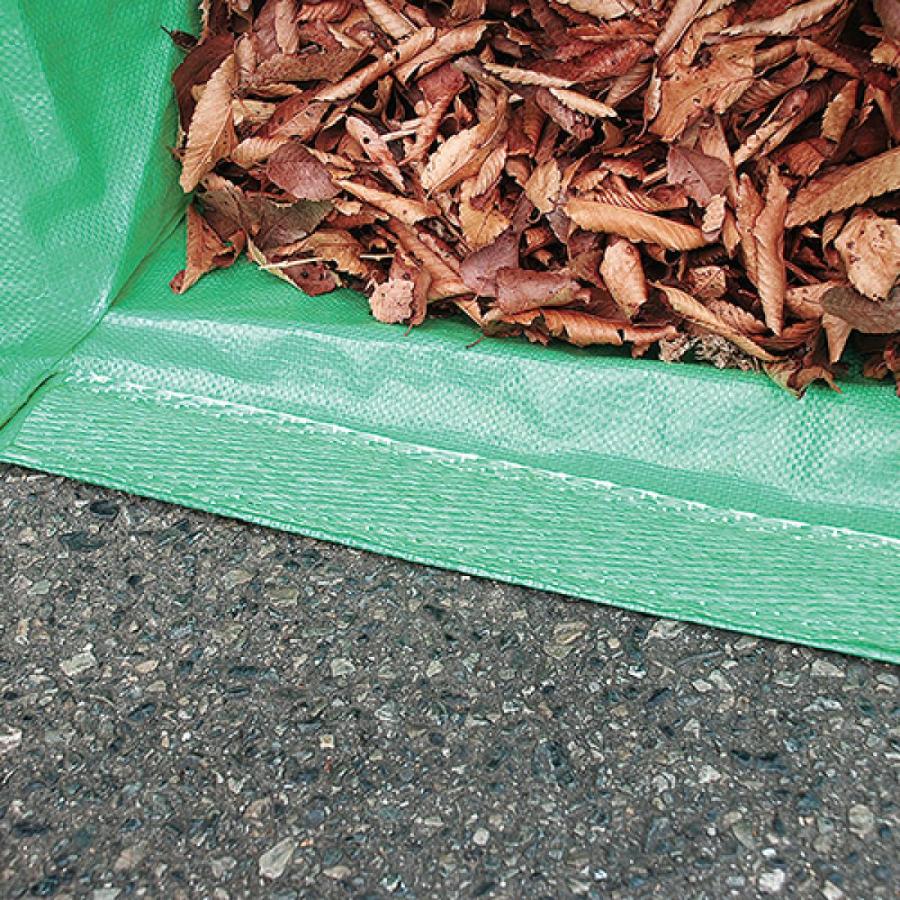 OZ❤️速達付き　同梱-100円　鉢のまま imgrc0164415512.jpg