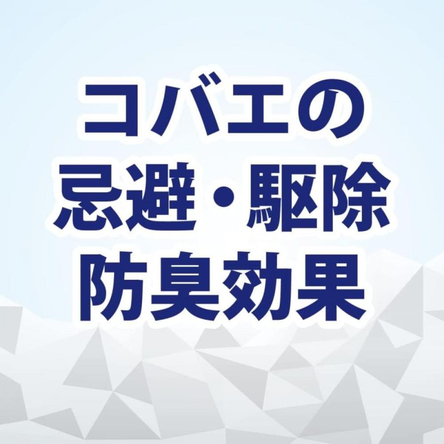 キンチョー コバエコナーズ ゴミ箱用 消臭 スカッシュミントの香り 腐敗抑制プラス 駆除 予防 生ゴミ 小バエ 忌避 発生予防 KINCHO 大日本除虫菊｜syuunounavi｜03