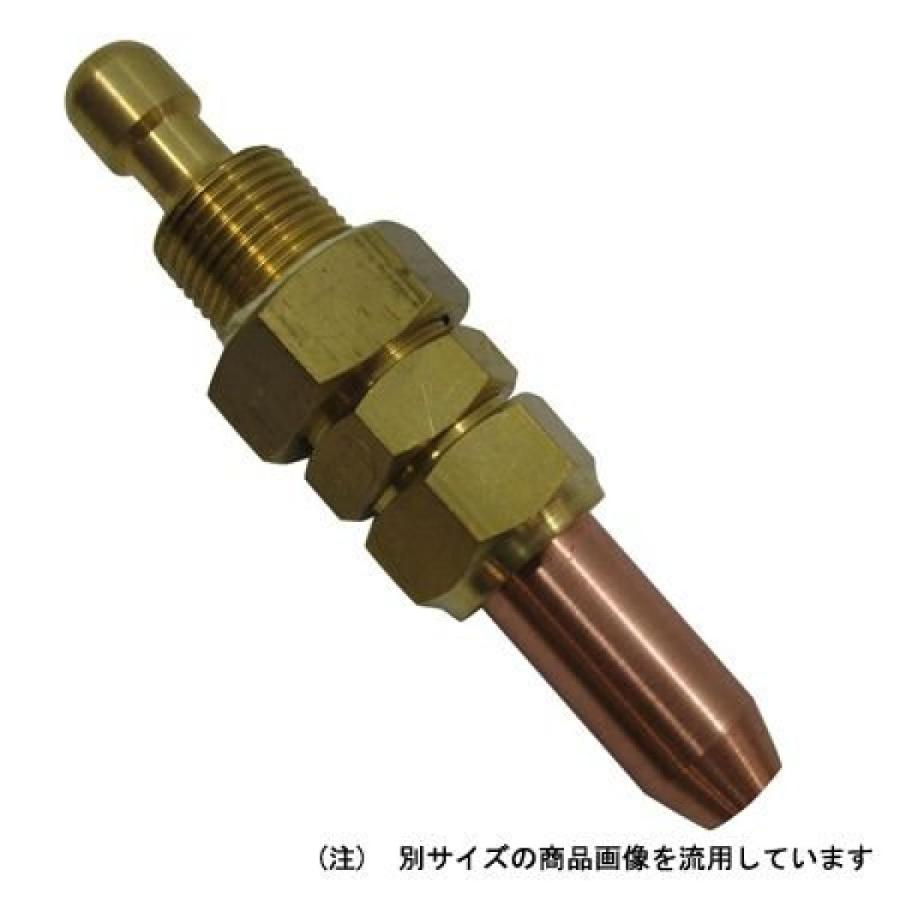 スズキッド(SUZUKID) 仏式小中型溶接器用火口 #100 W-38 wyw801m SUZUKID（スズキッド） 仏式小中型溶接器用火口 #100 W-38