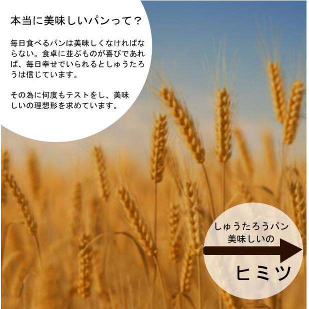 焼きたてビッグバンズ180　業務用冷凍便　6個×5袋_1