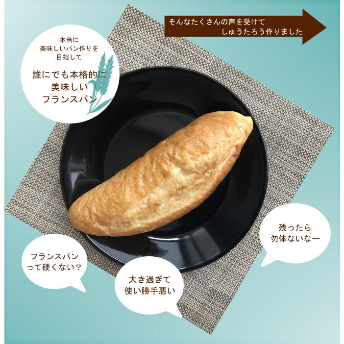 焼きたてソフトフランス　業務用冷凍便 20本×4袋 |  | 02
