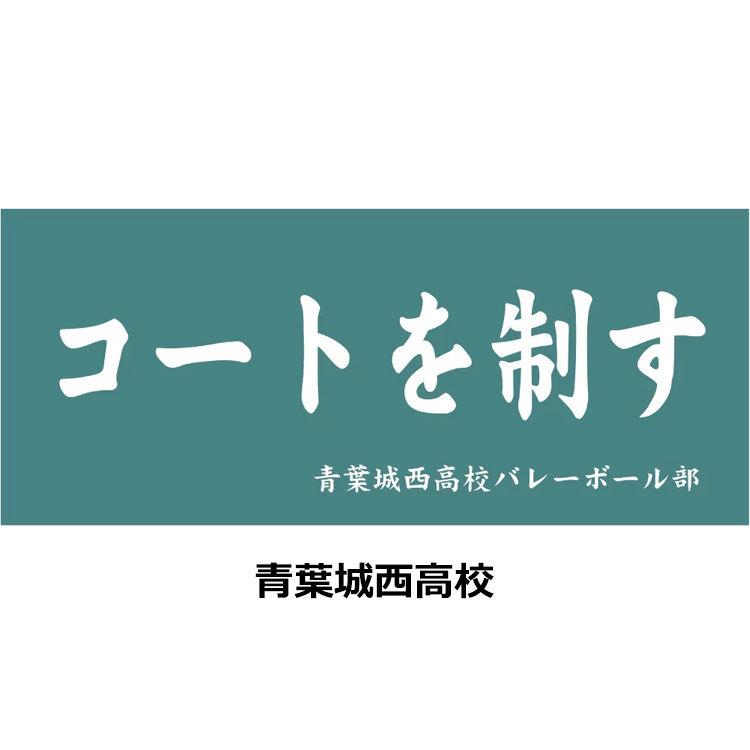 ポイント10倍 ハイキュー 公式グッズ 横断幕 スポーツタオル 80 34cm 08 Szone スポーツ 通販 Yahoo ショッピング