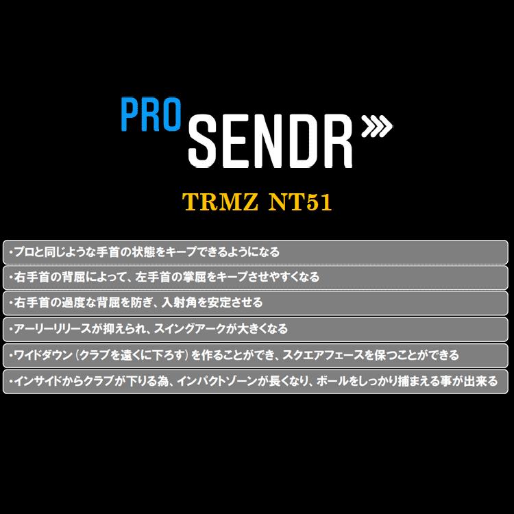 ヤマニ ゴルフ ProSENDR プロセンダー TRMZNT51 スイング練習器｜szone｜03