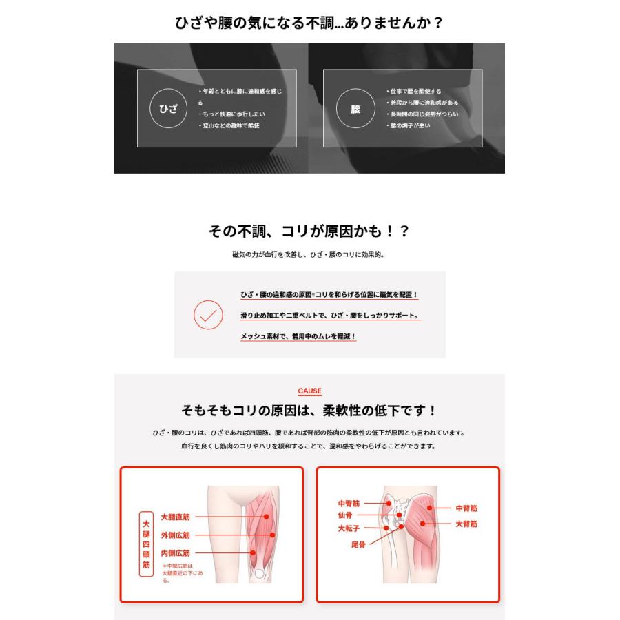 期間限定10%OFFクーポン発行中 コラントッテ MAG サポーター 腰 ABBFE 【返品不可】 | ColanTotte | 02