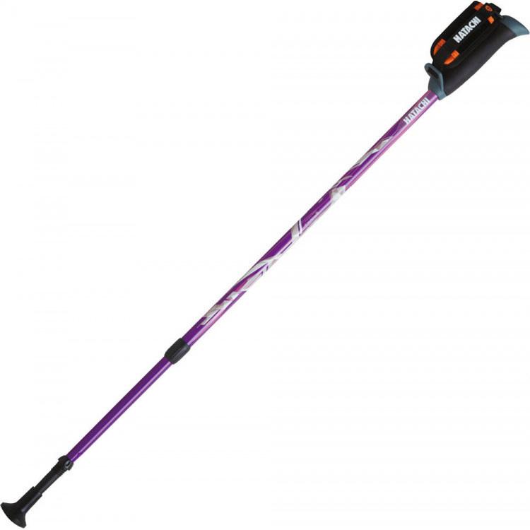 ハタチ HATACHI ウエルネス DFP プログレッシブズーム(2本組) WH1120-68