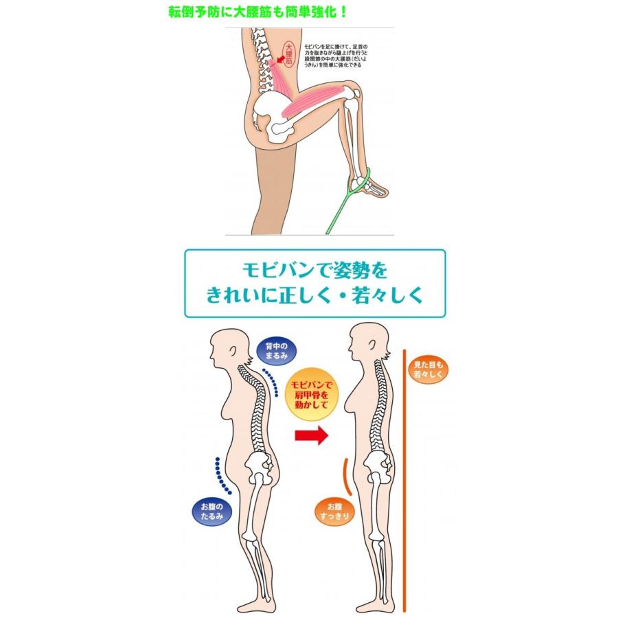 高齢者向け・介護予防エクササイズ モビバン ロコモビ 輪が大きい滑り止め加工付き(1.5kg) トレーニングバンド RMO002 | ブランド登録なし | 06