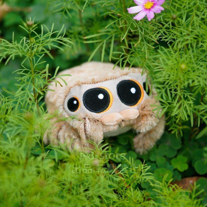 ぬいぐるみ 蜘蛛 スパイダー ハロウィン キッズ 子供 クモ