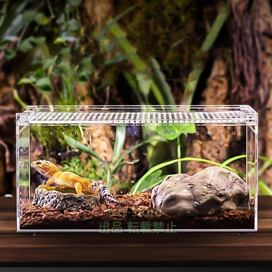 爬虫類 ケージ飼育セットアクリル 換気ボックス飼育ケージ通気性