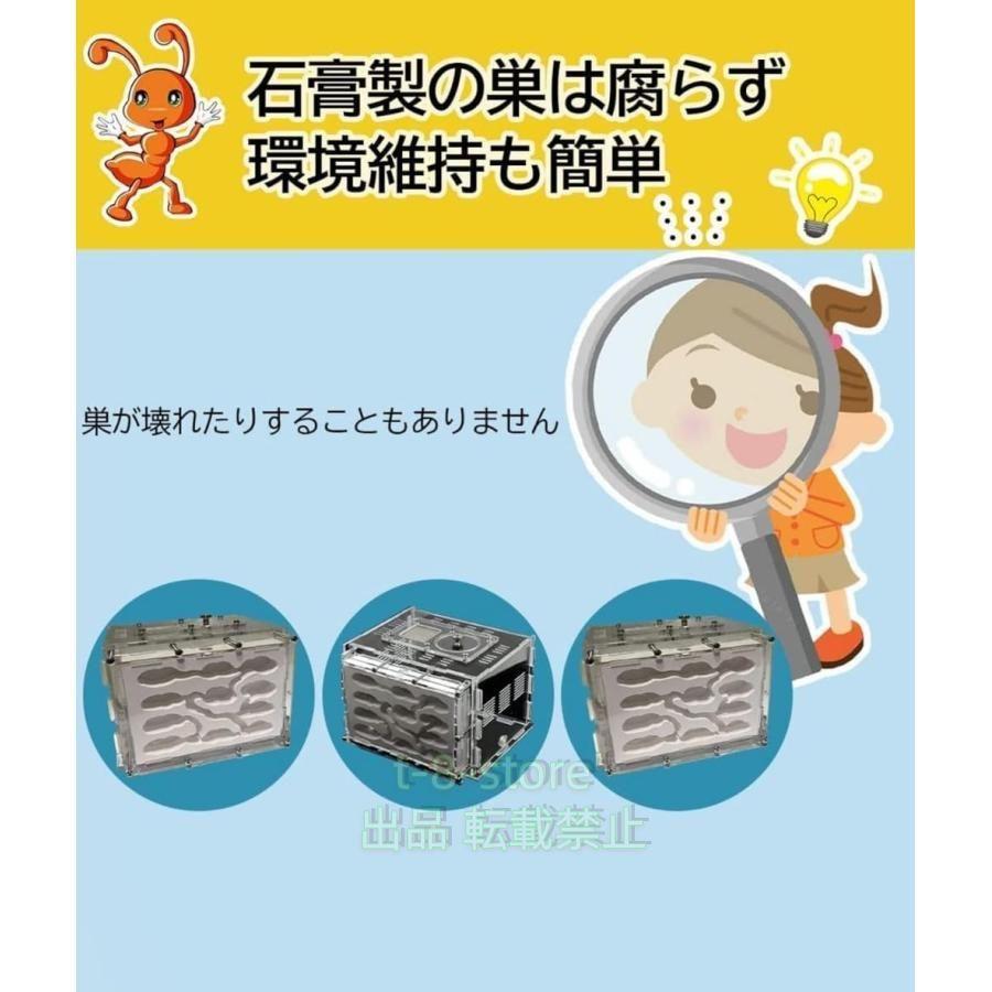 アリ飼育ケース　石膏巣　アリ観察 Amazon | アリ飼育キット 石膏製巣箱 透明アクリル製ケース アリ