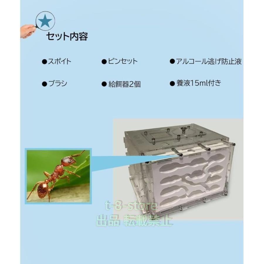 【MICE】アリ石膏巣ユニット 30×20cm×2個セット MICE】アリ石膏巣ユニット 30×20cm×2個セット Amazon | Yiteng アリ