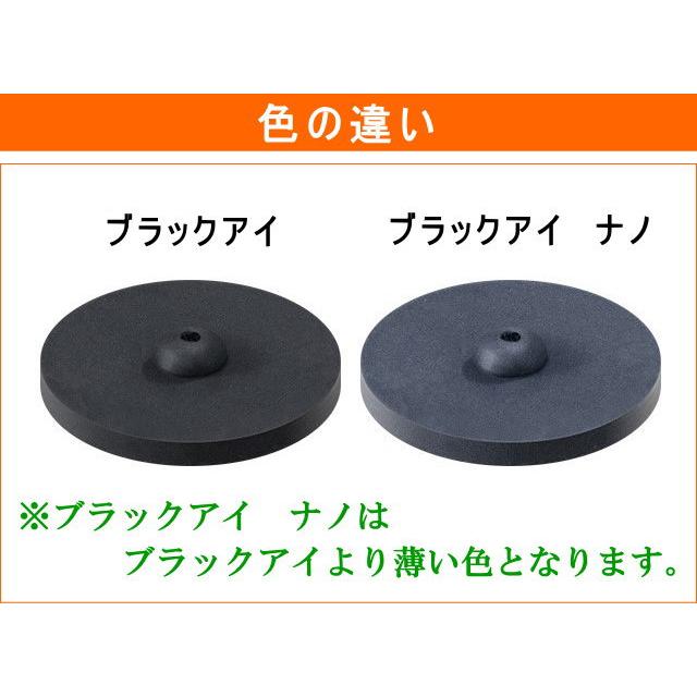 丸山式コイル ブラックアイナノ 2個セット 医学博士丸山修寛監修 BLACK