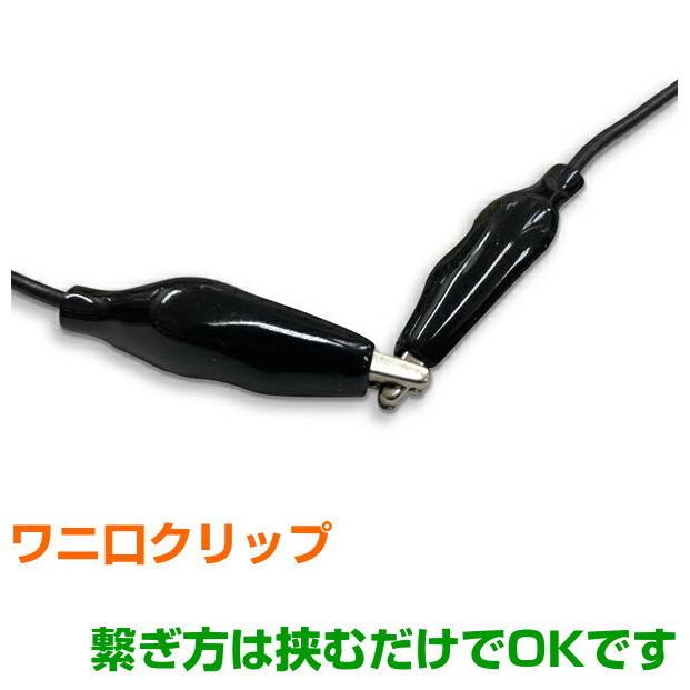 ブラトモコンセント療法グッズ　【新品未使用】 電磁波対策シリーズ ブラトモ本体のみ ワニ口クリップなし BLACK EYEの