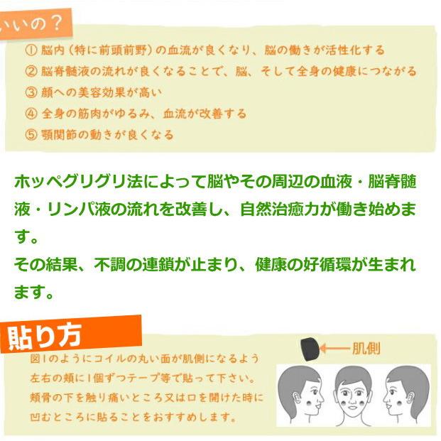 電磁波対策シリーズ デカビタコイル ナノ 2個入 BLACK EYEの医学博士