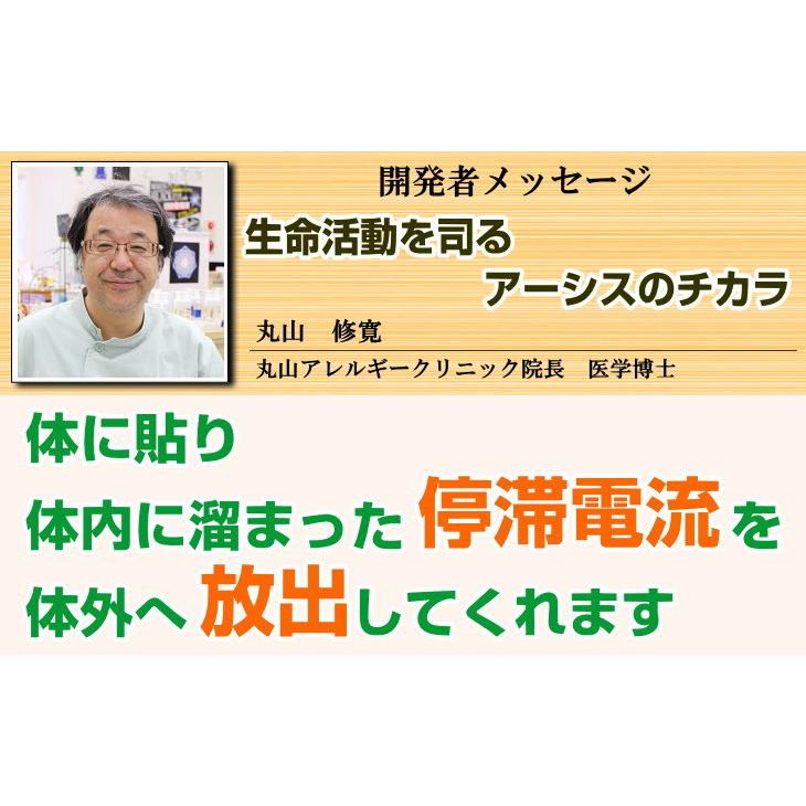 電磁波対策シリーズ　アーシス　BLACK EYEの医学博士丸山修寛監修　電磁波防止 電磁波カット　電磁波ブロッカー　ブラックアイ｜t-and-a｜04