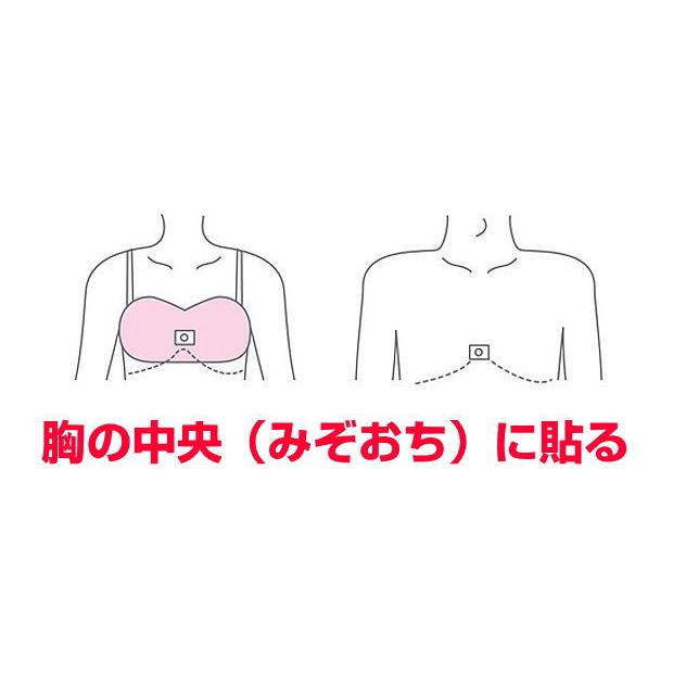 株式会社ユニカ 丸山修寛先生開発電磁波対策製品 アーシス