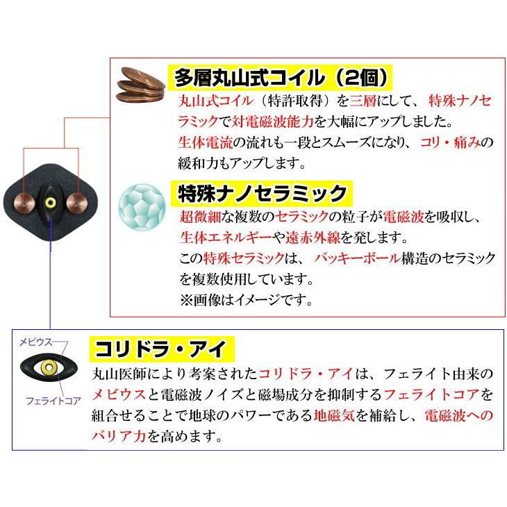 ブラックアイ ガイアスチップ カムナセラミックシール スクエア型2枚付
