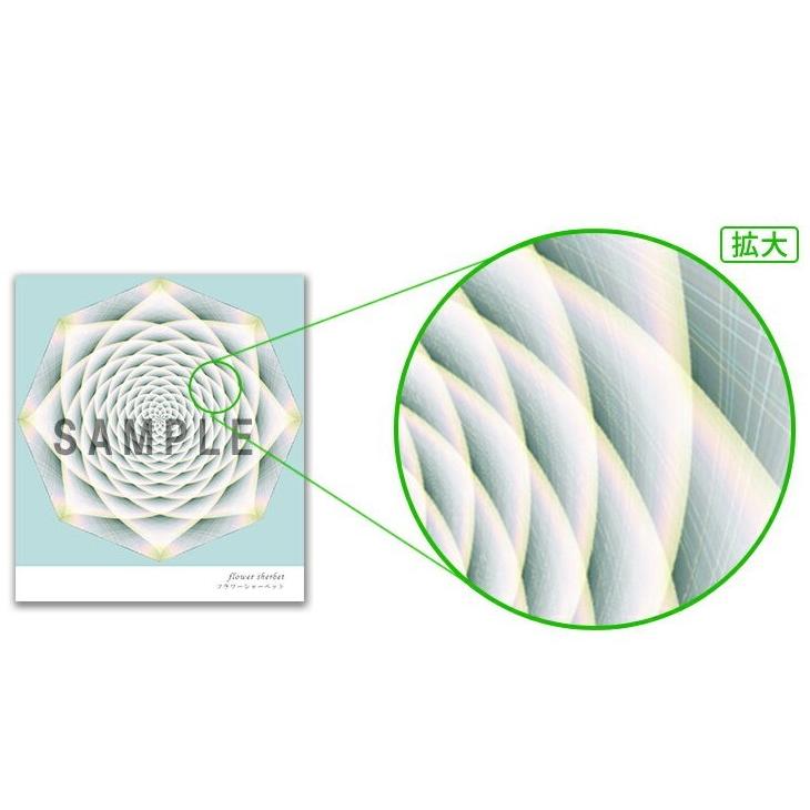 クスリエ/フラワーシャーベット/大サイズ29.7cm&times;29.7cm/奇跡のコイルBLACK EYEブラックアイの医学博士丸山修寛監修