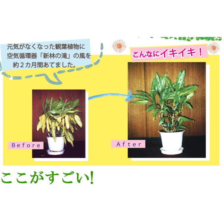 新林の滝 3色 マイナスイオン扇風機 空気活性器 サーキュレーター