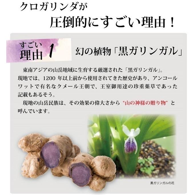 クロガリンダ 100カプセル 3本セット ＋3粒入お試しセット×9個