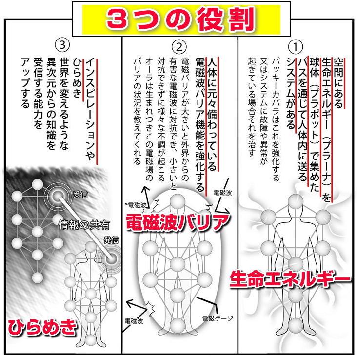 最強の立体クスリエ 模型 バッキーボール（組立式）+３Ｄカバラパドマ　メル Amazon.co.jp: 最強の立体クスリエ 模型 バッキーボール（組立式）+