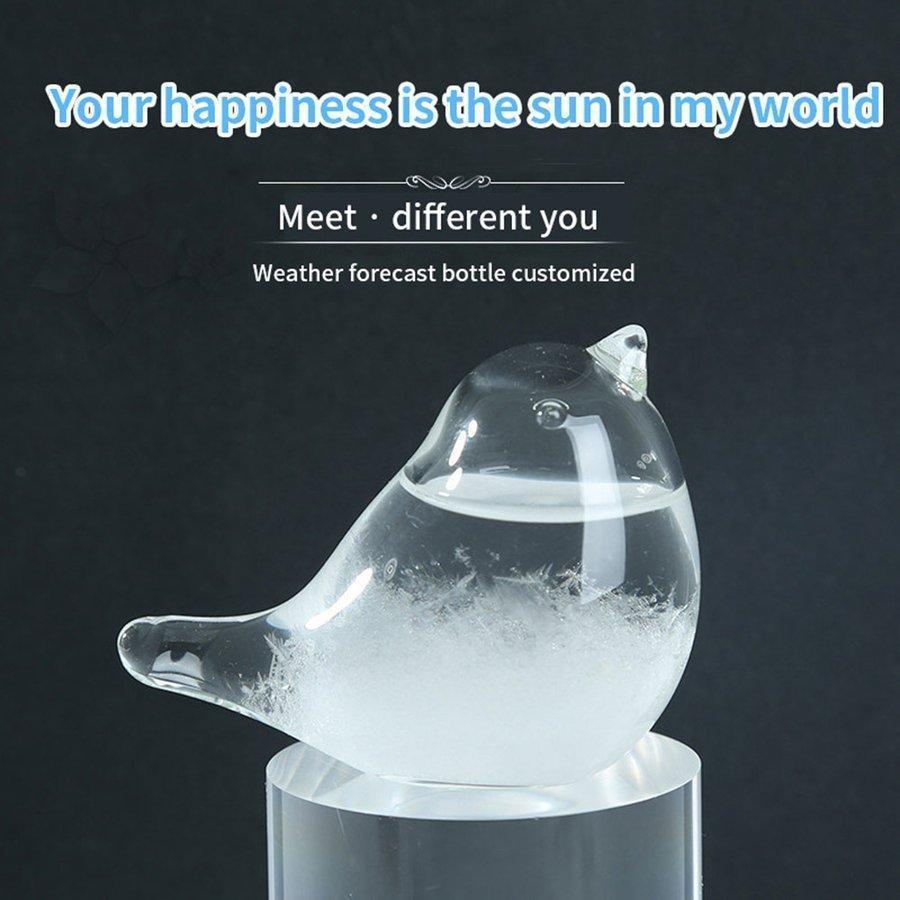 ストームグラス 鳥 天気予報器 おしゃれ 天気予報ボトル Storm Glass ストーム瓶 気象予報 結晶観察器 透明 晴雨予報 インテリア 雑貨 置物 飾りプレゼント｜t-andomkikaku｜05