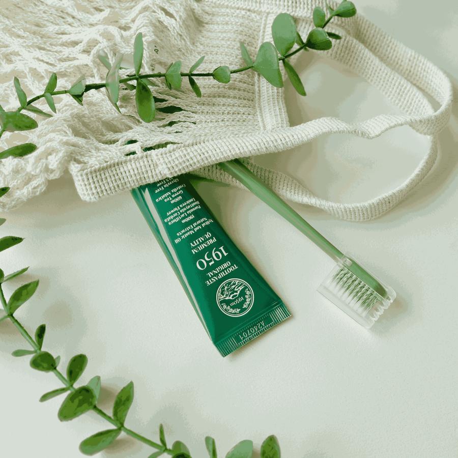 韓国済州発 1950 トゥースペースト 済州 グリーントラベルセット 無