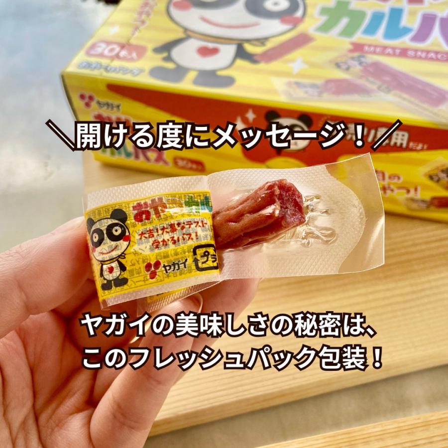 手が止まらない 大人買いしたい｜カルパス おつまみ 肉 珍味 個包装