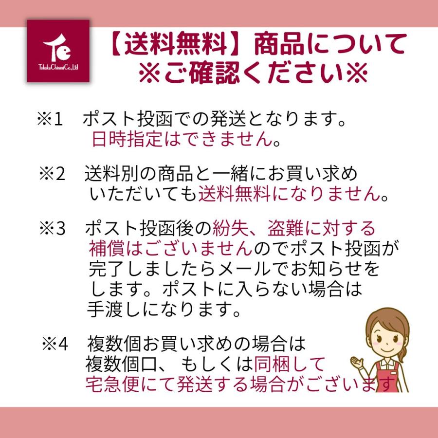 送料無料 いかくん イカ燻製 さきいか さきイカ 珍味 おつまみ 塩