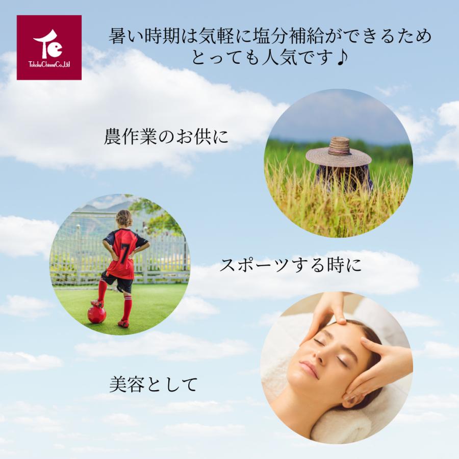 おやつ トマト 岩塩 塩トマト ドライトマト ドライベジタブル おやつ トマト 岩塩 塩トマト ドライトマト ドライベジタブル