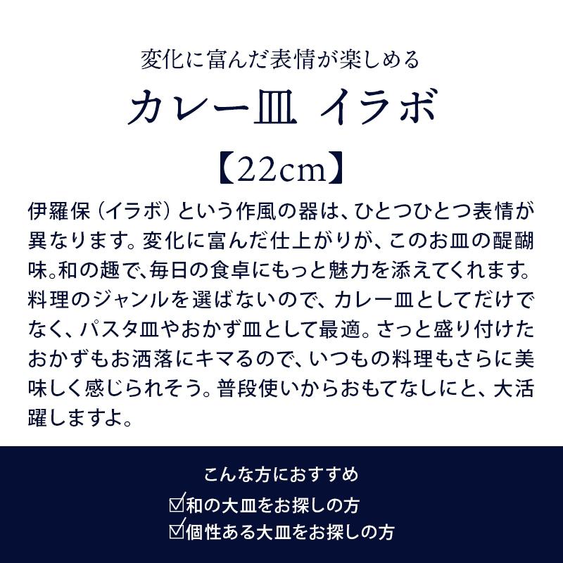 カレー皿  22cm イラボ 和食器プレート お皿 皿 和食器 おしゃれ 食器 深皿 パスタ皿  盛り皿 盛り鉢 煮物鉢 主菜皿 サラダ皿 サラダボウル 菓子鉢 和カフェ｜t-east｜04