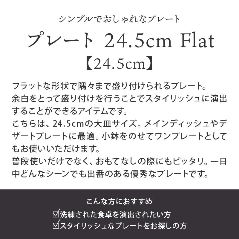 プレート 24.5cm Flatお皿 皿 食器 洋食器 おしゃれ 大皿 ディナープレート ワンプレート 盛り皿 パスタ皿 主菜皿 メインディッシュ サラダ皿 デザート皿 カフェ｜t-east｜04