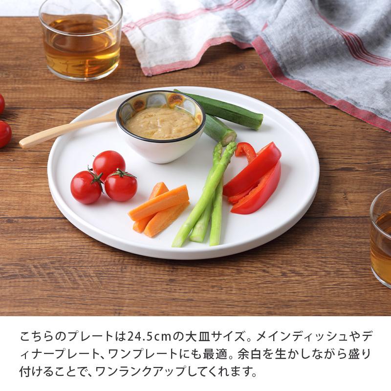 プレート 24.5cm Flatお皿 皿 食器 洋食器 おしゃれ 大皿 ディナープレート ワンプレート 盛り皿 パスタ皿 主菜皿 メインディッシュ サラダ皿 デザート皿 カフェ｜t-east｜07