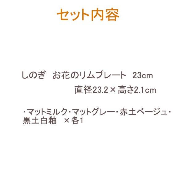 食器セット しのぎお花のリムプレート4枚セット　送料無料福袋 大皿セット 新生活 お皿 パスタ皿 和皿 お皿 テーブルウェアイースト｜t-east｜03