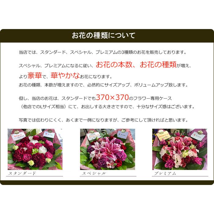 開店祝い 開業祝い オープン 花 ギフト お祝い プレゼント 三代目 ナチュラルアレンジメント スタンダード Kai008 玉川生花店 通販 Yahoo ショッピング