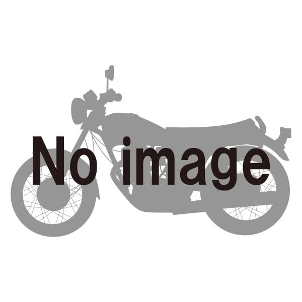 デイトナ DAYTONA バイク用 GIVI SR19 スペシャルラック バイク用品 ツーリング 94018｜t-four2010