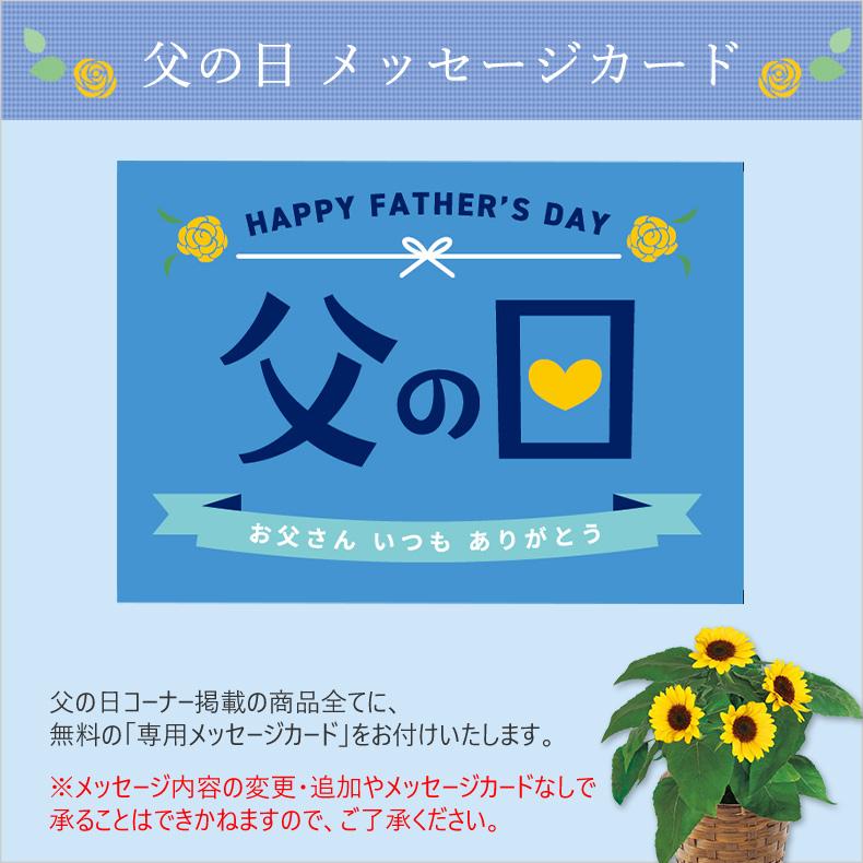 父の日 プレゼント 食べ物 ハム 煌彩ハム ローストビーフ セット 丸大食品 詰め合わせ ギフト おすすめ 2024｜t-gift-yasan｜05