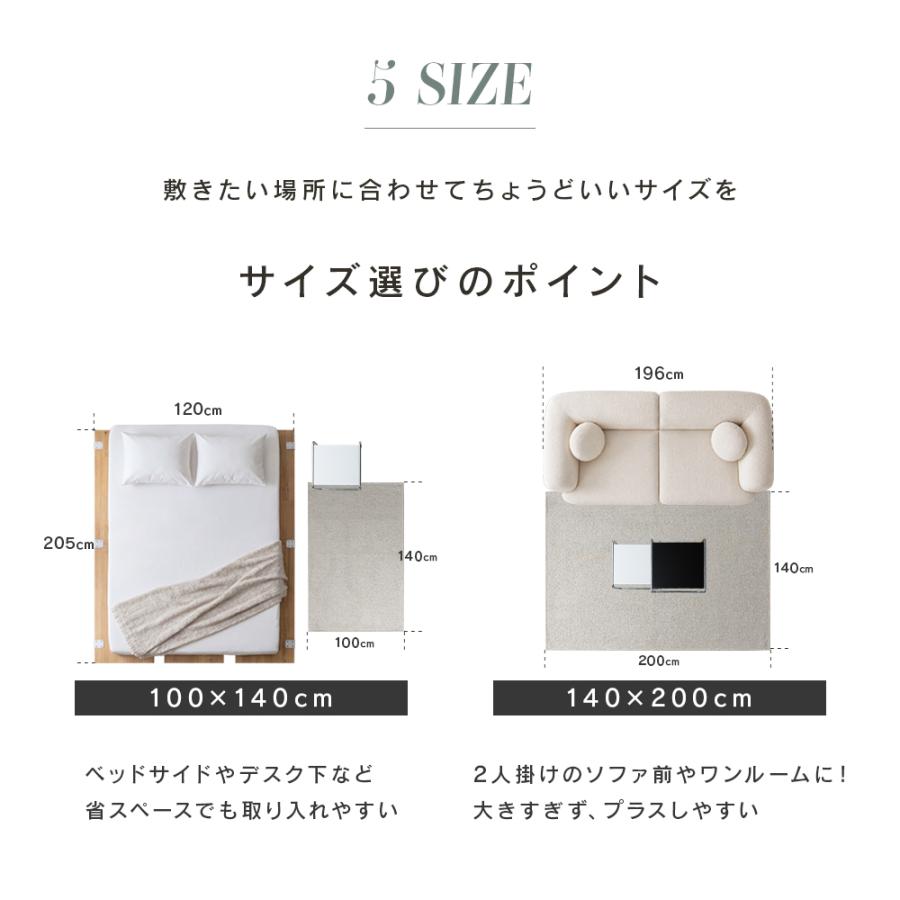 10/7〜8 ボーナスストア4%還元[200×250cm][新商品] ノイズラグ 洗える