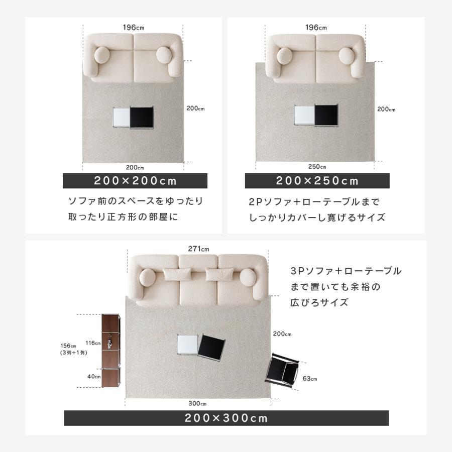 10/7〜8 ボーナスストア4%還元[200×250cm][新商品] ノイズラグ 洗える