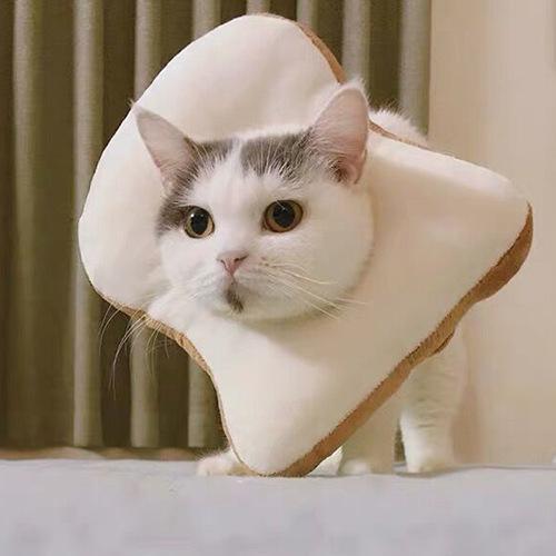 エリザベスカラー 猫 犬 傷舐め防止 食パン型 トースト 傷口保護 手術