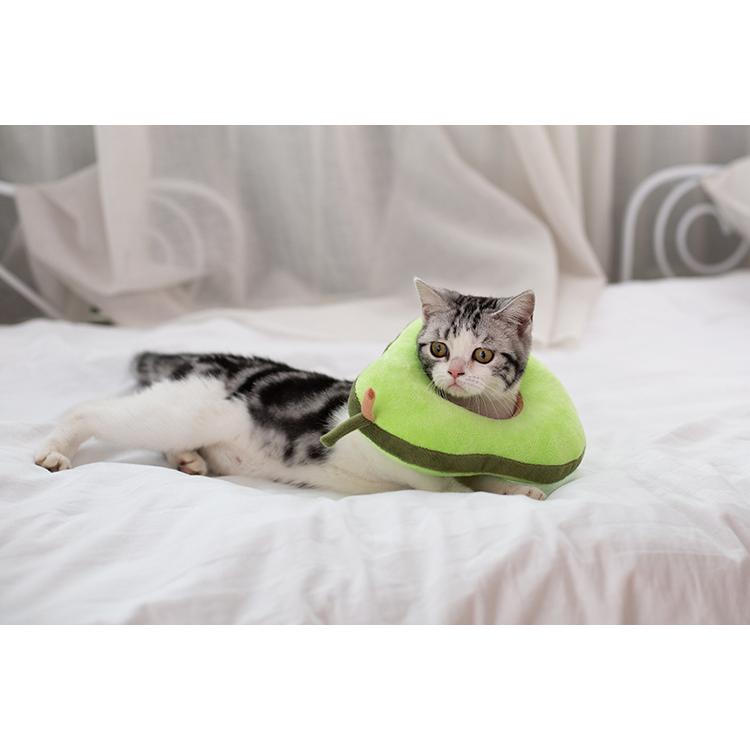 5 大好評 ささめ針 Sasame Kc 11 クワセチヌ ケイムラ 2 Materialworldblog Com